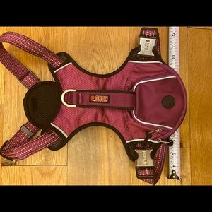 Dog Harness Kong